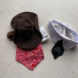Cowboy Hat & Bandana and Skull Collar Tie set of 2 dog costumes